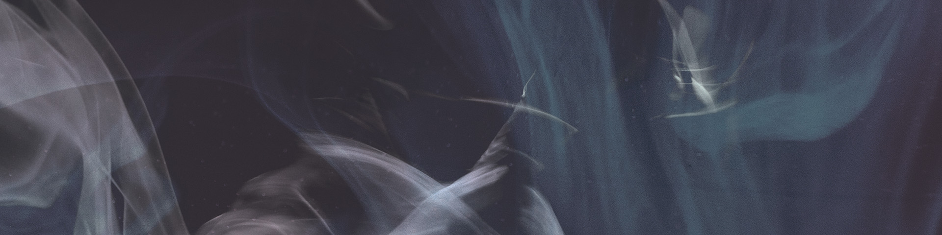 Esther: Life in the Gray Devotional Workbook